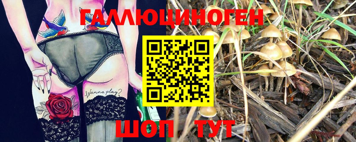 Ижевск  Псилоцибиновые грибы мицелий  Вход с VPN 