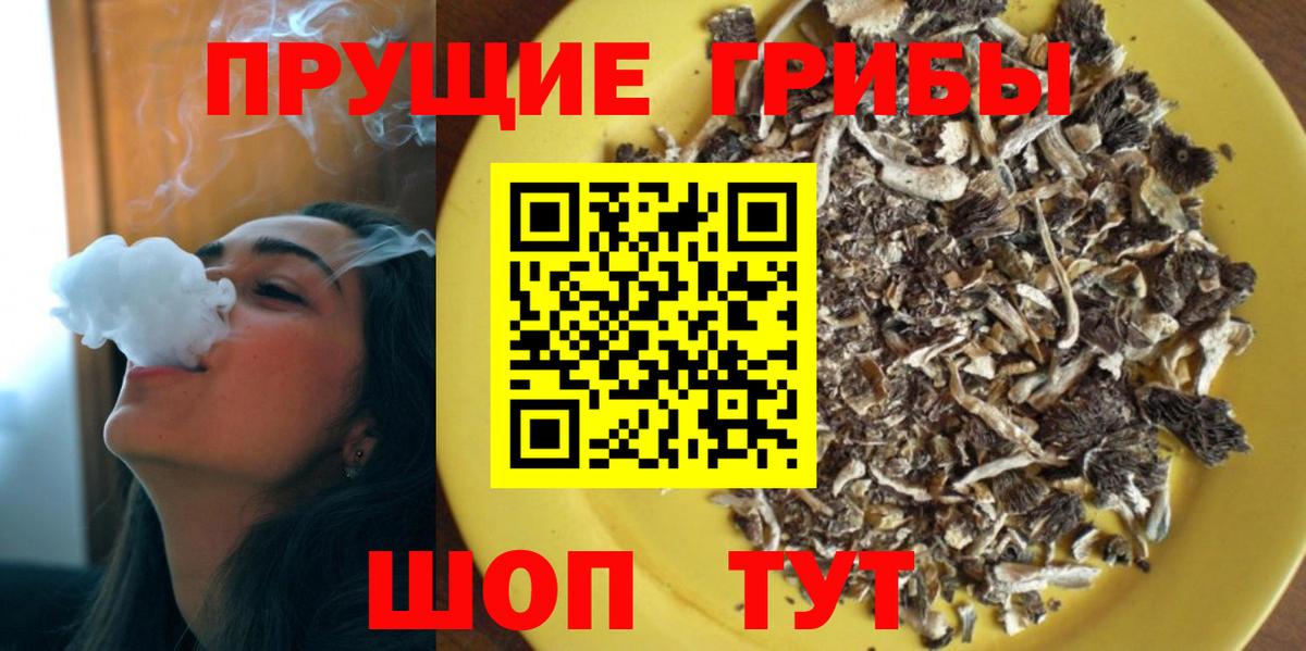 Псилоцибиновые грибы Psilocybe Ижевск
